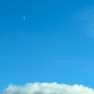 Order for @terriscryatalpa